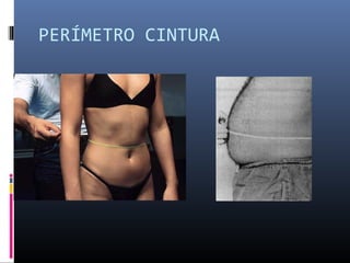 PERÍMETRO CINTURA 
 