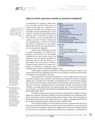 “Mariguana, ¿por qué tanta controversia?”
Guadalupe Ponciano Rodríguez
1 de mayo de 2016 | Vol. 17 | Núm. 5 | ISSN 1607 - 6079
http://www.revista.unam.mx/vol.17/num5/art32
Departamento de Acervos Digitales. Dirección General de Cómputo y de Tecnologías de Información y Comunicación – UNAM
Esta obra está bajo una licencia de Creative Commons
9
¿Qué se siente y qué pasa cuando se consume mariguana?
El consumidor de mariguana siente eufo-
ria o está high cuando el THC entra a su
cerebro, pues actúa en su sistema de re-
compensa, formado por las regiones que
responden al placer generado por el sexo,
consumir chocolate y la generalidad de los
fármacos que se consumen en exceso. El
THC estimula la zona de gratificación del
cerebro, así como lo hacen la mayoría de
los estupefacientes, e incitan a las células
que liberan la dopamina, por tal motivo,
además de la euforia, otra secuela frecuen-
te es la sensación de relajación.
	 Existen otras alteraciones, aunque
en cada consumidores son distintas, por
ejemplo, el incremento en la percepción
sensorial de los colores, pues se ven más
brillantes; la risa sin motivo manifiesto, la
alteración sobre la idea del tiempo y un
gran apetito. Una vez que pasa la euforia,
la persona podrá sentirse con sueño o de-
presión. En ocasiones, la mariguana causa
ansiedad, pánico, temor o desconfianza (NIDA, 2013).
	 A dosis bajas se produce un cambio en el estado de ánimo que la mayoría de los
usuarios describe como agradable, pero que en una proporción importante de personas
se manifiesta como ansiedad o paranoia.
	 Esto se puede dar en una gran intensidad o en menor magnitud, pero se presen-
tan varios síntomas como confusión, alteraciones para percibir el tiempo y el espacio,
además de una pérdida de la identidad, imposibilidad para la concentración, desgaste
de la memoria de corto plazo, reducción de la capacidad para razonar, hambre y sed en
demasía, entre otros. Cuando las dosis son muy elevadas, también se presentan náuseas
y vómito y se puede experimentar una psicosis aguda, que incluye alucinaciones, deli-
rio, confusión y una pérdida del sentido de la identidad personal o autorreconocimiento
(CRUZ, 2007; NIDA, 2013).
	 Los efectos a largo plazo incluyen el síndrome amotivacional,3
problemas relacio-
nados con el aparato respiratorio similares a los que se presentan en el tabaquismo (en-
fisema o bronquitis crónica) y depresión del sistema inmune. Todo ello acompañado de
alteraciones psicomotoras como disminución de los reflejos, parquedad de movimien-
tos, lentitud del desplazamiento, etcétera (Cuadro 1) (NIDA, 2013).
	 Una reacción psicótica en el corto plazo por las altas concentraciones de THC es
diferente a un trastorno de mayor permanencia como la esquizofrenia, que se ha asocia-
do al consumo de la Cannabis, sobre todo en adolescentes. Asimismo, no debe perderse
de vista que en las áreas de urgencias de instituciones hospitalarias se presentan de
[3] El síndrome amotiva-
cional se presenta a
causa del consumo de
Cannabis y ocurre cuan-
do se da la pasividad
y la indiferencia, que
se manifiestan por la
alteración generalizada
de funciones como las
cognitivas, la interac-
ción con otras personas
y los vínculos sociales,
durante un tiempo
prolongado luego de
interrumpir el consumo.
También hay una dismi-
nución de la capacidad
o el deseo de realizar
proyectos a largo plazo,
un empobrecimiento
afectivo, desinterés
sexual, disminución
de la concentración y
descuido personal.
[4] Se trata de sucesos que
duran segundos o varias
horas, generalmen-
te desagradables.
Renacen de manera
transitoria la sensación,
la percepción y el
pensamiento derivados
de los alucinógenos.
Es una alteración en
los pensamientos de
temor, la personalidad y
los efectos de carácter
físico análogos a las
ansiedades agudas.
Cuadro 1. Efectos de la
Mariguana y el Δ9-THC.
Modificado de: Cruz M del
C S. 2007. Los efectos de las
drogas. De sueños y pesa-
dillas. Ed. Trillas. México.
240 pp.
 