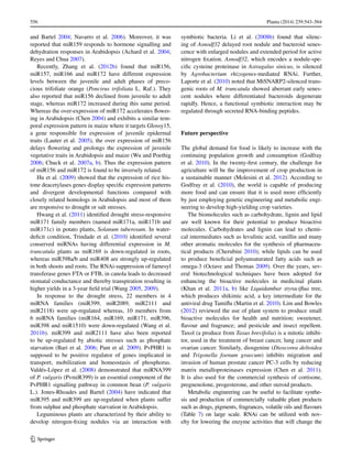 556	 Planta (2014) 239:543–564
1 3
and Bartel 2004; Navarro et al. 2006). Moreover, it was
reported that miR159 responds to hormone signalling and
dehydration responses in Arabidopsis (Achard et al. 2004;
Reyes and Chua 2007).
Recently, Zhang et al. (2012b) found that miR156,
miR157, miR166 and miR172 have different expression
levels between the juvenile and adult phases of preco-
cious trifoliate orange (Poncirus trifoliata L. Raf.). They
also reported that miR156 declined from juvenile to adult
stage, whereas miR172 increased during this same period.
Whereas the over-expression of miR172 accelerates flower-
ing in Arabidopsis (Chen 2004) and exhibits a similar tem-
poral expression pattern in maize where it targets Glossy15,
a gene responsible for expression of juvenile epidermal
traits (Lauter et al. 2005), the over expression of miR156
delays flowering and prolongs the expression of juvenile
vegetative traits in Arabidopsis and maize (Wu and Poethig
2006; Chuck et al. 2007a, b). Thus the expression pattern
of miR156 and miR172 is found to be inversely related.
Hu et al. (2009) showed that the expression of rice his-
tone deacetylases genes display specific expression patterns
and divergent developmental functions compared with
closely related homologs in Arabidopsis and most of them
are responsive to drought or salt stresses.
Hwang et al. (2011) identified drought stress-responsive
miR171 family members (named miR171a, miR171b and
miR171c) in potato plants, Solanum tuberosum. In water-
deficit condition, Trindade et al. (2010) identified several
conserved miRNAs having differential expression in M.
truncatula plants as miR169 is down-regulated in roots,
whereas miR398a/b and miR408 are strongly up-regulated
in both shoots and roots. The RNAi-suppression of farnesyl
transferase genes FTA or FTB, in canola leads to decreased
stomatal conductance and thereby transpiration resulting in
higher yields in a 3-year field trial (Wang 2005, 2009).
In response to the drought stress, 22 members in 4
miRNA families (miR399, miR2089, miR2111 and
miR2118) were up-regulated whereas, 10 members from
6 miRNA families (miR164, miR169, miR171, miR396,
miR398 and miR1510) were down-regulated (Wang et al.
2011b). miR399 and miR2111 have also been reported
to be up-regulated by abiotic stresses such as phosphate
starvation (Bari et al. 2006; Pant et al. 2009). PvPHR1 is
supposed to be positive regulator of genes implicated in
transport, mobilization and homeostasis of phosphorus.
Valdés-López et al. (2008) demonstrated that miRNA399
of P. vulgaris (PvmiR399) is an essential component of the
PvPHR1 signalling pathway in common bean (P. vulgaris
L.). Jones-Rhoades and Bartel (2004) have indicated that
miR395 and miR399 are up-regulated when plants suffer
from sulphur and phosphate starvation in Arabidopsis.
Leguminous plants are characterized by their ability to
develop nitrogen-fixing nodules via an interaction with
symbiotic bacteria. Li et al. (2008b) found that silenc-
ing of Asnodf32 delayed root nodule and bacteroid senes-
cence with enlarged nodules and extended period for active
nitrogen fixation. Asnodf32, which encodes a nodule-spe-
cific cysteine proteinase in Astragalus sinicus, is silenced
by Agrobacterium rhizogenes-mediated RNAi. Further,
Laporte et al. (2010) noted that MtSNARP2-silenced trans-
genic roots of M. truncatula showed aberrant early senes-
cent nodules where differentiated bacteroids degenerate
rapidly. Hence, a functional symbiotic interaction may be
regulated through secreted RNA-binding peptides.
Future perspective
The global demand for food is likely to increase with the
continuing population growth and consumption (Godfray
et al. 2010). In the twenty-first century, the challenge for
agriculture will be the improvement of crop production in
a sustainable manner (Molesini et al. 2012). According to
Godfray et al. (2010), the world is capable of producing
more food and can ensure that it is used more efficiently
by just employing genetic engineering and metabolic engi-
neering to develop high-yielding crop varieties.
The biomolecules such as carbohydrate, lignin and lipid
are well known for their potential to produce bioactive
molecules. Carbohydrates and lignin can lead to chemi-
cal intermediates such as levulinic acid, vanillin and many
other aromatic molecules for the synthesis of pharmaceu-
tical products (Cherubini 2010); while lipids can be used
to produce beneficial polyunsaturated fatty acids such as
omega-3 (Octave and Thomas 2009). Over the years, sev-
eral biotechnological techniques have been adopted for
enhancing the bioactive molecules in medicinal plants
(Khan et al. 2011a, b) like Liquidambar styraciflua tree,
which produces shikimic acid, a key intermediate for the
antiviral drug Tamiflu (Martin et al. 2010). Lim and Bowles
(2012) reviewed the use of plant system to produce small
bioactive molecules for health and nutrition; sweetener,
flavour and fragrance; and pesticide and insect repellent.
Taxol (a produce from Taxus brevifolia) is a mitotic inhibi-
tor, used in the treatment of breast cancer, lung cancer and
ovarian cancer. Similarly, diosgenine (Dioscorea deltoidea
and Trigonella foenum graecum) inhibits migration and
invasion of human prostate cancer PC-3 cells by reducing
matrix metalloproteinases expression (Chen et al. 2011).
It is also used for the commercial synthesis of cortisone,
pregnenolone, progesterone, and other steroid products.
Metabolic engineering can be useful to facilitate synthe-
sis and production of commercially valuable plant products
such as drugs, pigments, fragrances, volatile oils and flavours
(Table  7) on large scale. RNAi can be utilized with nov-
elty for lowering the enzyme activities that will change the
 