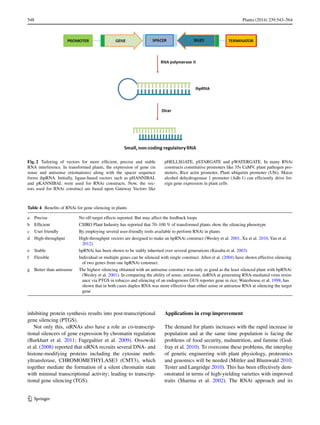 548	 Planta (2014) 239:543–564
1 3
inhibiting protein synthesis results into post-transcriptional
gene silencing (PTGS).
Not only this, siRNAs also have a role as co-transcrip-
tional silencers of gene expression by chromatin regulation
(Burkhart et al. 2011; Fagegaltier et al. 2009). Ossowski
et al. (2008) reported that siRNA recruits several DNA- and
histone-modifying proteins including the cytosine meth-
yltransferase, CHROMOMETHYLASE3 (CMT3), which
together mediate the formation of a silent chromatin state
with minimal transcriptional activity; leading to transcrip-
tional gene silencing (TGS).
Applications in crop improvement
The demand for plants increases with the rapid increase in
population and at the same time population is facing the
problems of food security, malnutrition, and famine (God-
fray et al. 2010). To overcome these problems, the interplay
of genetic engineering with plant physiology, proteomics
and genomics will be needed (Mittler and Blumwald 2010;
Tester and Langridge 2010). This has been effectively dem-
onstrated in terms of high-yielding varieties with improved
traits (Sharma et al. 2002). The RNAi approach and its
Fig. 2  Tailoring of vectors for more efficient, precise and stable
RNA interference. In transformed plants, the expression of gene (in
sense and antisense orientations) along with the spacer sequence
forms ihpRNA. Initially, ligase-based vectors such as pHANNIBAL
and pKANNIBAL were used for RNAi constructs. Now, the vec-
tors used for RNAi construct are based upon Gateway Vectors like
pHELLSGATE, pSTARGATE and pWATERGATE. In many RNAi
constructs constitutive promoters like 35s CaMV, plant pathogen pro-
moters, Rice actin promoter, Plant ubiquitin promoter (Ubi), Maize
alcohol dehydrogenase 1 promoter (Adh-1) can efficiently drive for-
eign gene expression in plant cells
Table 4  Benefits of RNAi for gene silencing in plants
a Precise No off-target effects reported. But may affect the feedback loops
b Efficient CSIRO Plant Industry has reported that 70–100 % of transformed plants show the silencing phenotype
c User friendly By employing several user-friendly tools available to perform RNAi in plants
d High-throughput High-throughput vectors are designed to make an hpRNAi construct (Wesley et al. 2001, Xu et al. 2010, Yan et al.
2012)
e Stable hpRNAi has been shown to be stably inherited over several generations (Kusaba et al. 2003)
f Flexible Individual or multiple genes can be silenced with single construct. Allen et al. (2004) have shown effective silencing
of two genes from one hpRNAi construct
g Better than antisense The highest silencing obtained with an antisense construct was only as good as the least silenced plant with hpRNAi
(Wesley et al. 2001). In comparing the ability of sense, antisense, dsRNA at generating RNA-mediated virus resist-
ance via PTGS in tobacco and silencing of an endogenous GUS reporter gene in rice; Waterhouse et al. 1998, has
shown that in both cases duplex RNA was more effective than either sense or antisense RNA at silencing the target
gene
 