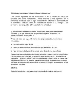 Dinámica y mecanismo del microtúbulo extremo más 
Una función importante de los microtúbulos es la de mover las estructuras 
celulares tales como cromosomas , husos mitóticos y otros orgánulos en el 
interior de las células. Esto se logra conectando los extremos de los microtúbulos 
a estructuras celulares; como los microtúbulos crecen y se encogen , las 
estructuras son empujadas o tiradas alrededor de la célula . 
¿De qué manera los extremos de los microtúbulos se acoplan a estructuras 
celulares , y de qué manera este acoplamiento regula la estabilidad y la 
distribución de los microtúbulos ? 
Ahora está claro que hay por lo menos tres propiedades de un extremo de 
microtúbulo: 
a) Tiene estructuras alternativas; 
b) Tiene una transición bioquímica definida por la hidrólisis de GTP; 
c) y que forma un objetivo distinto para la unión de proteínas específicas. 
Estas diferentes propiedades pueden ser unificados pensando en los microtúbulos 
como una máquina molecular, que cambia entre el crecimiento y la reducción de 
los modos. Cada modo se asocia con una estructura extremo específica en el que 
las proteínas de unión de extremo pueden ensamblarse para modular la dinámica 
y acoplar las propiedades dinámicas de los microtúbulos para el movimiento de las 
estructuras celulares . 
Objetivo 
Describir la dinámica y mecanismo del micrótubulo β-tubulina (extremo +) 
 