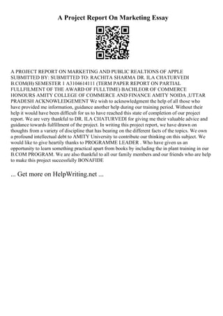 Art A2 Essay Examples | PDF