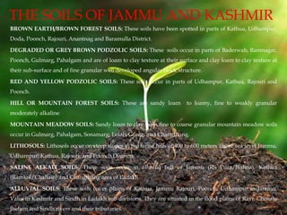 THE SOILS OF JAMMU AND KASHMIR
BROWN EARTH/BROWN FOREST SOILS: These soils have been spotted in parts of Kathua, Udhampur,
Doda, Poonch, Rajouri, Anantnag and Baramulla District.
DEGRADED OR GREY BROWN PODZOLIC SOILS: These soils occur in parts of Baderwah, Ramnagar,
Poonch, Gulmarg, Pahalgam and are of loam to clay texture at their surface and clay loam to clay texture at
their sub-surface and of fine granular well developed angular block structure.
RED AND YELLOW PODZOLIC SOILS: These soils occur in parts of Udhampur, Kathua, Rajouri and
Poonch.
HILL OR MOUNTAIN FOREST SOILS: These are sandy loam to loamy, fine to weakly granular
moderately alkaline
MOUNTAIN MEADOW SOILS: Sandy loam to clay loam fine to coarse granular mountain meadow soils
occur in Gulmarg, Pahalgam, Sonamarg, Lolab, Gurez, and Changthang.
LITHOSOLS: Lithosols occur on steep slopes in the forest hills of 400 to 600 meters above sea level Jammu,
Udhampur, Kathua, Rajouri, and Poonch Districts.
SALINE ALKALI SOILS: These soils occur in alluvial belt of Jammu (RS Pura/Bishna), Kathua
(Ramkol/Challain) and Changthang area of Ladakh
ALLUVIAL SOILS: These soils cover plains of Kathua, Jammu Rajouri, Poonch, Udhampur in Jammu,
Vales in Kashmir and Sindh in Ladakh sub divisions. They are situated in the flood plains of Ravi, Chenab,
Jhelum and Sindh rivers and their tributaries.
 