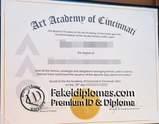 Art Academy of Cincinnati degree