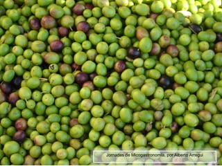 Jornadas de Micogastronomía, por Alberto Arregui
 