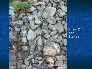 Siren Of The Stones 