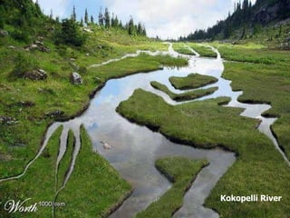 Kokopelli River 