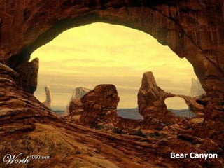 Bear Canyon 