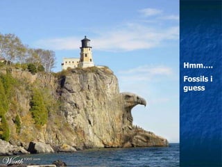 Hmm…. Fossils i guess 