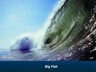 Big Fish 