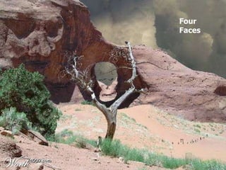 Four Faces 