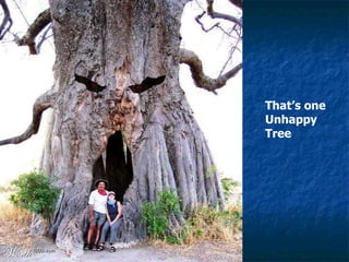 That’s one Unhappy Tree 