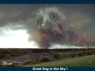 Great Dog in the Sky ! 