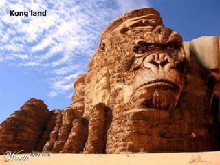 Kong land 