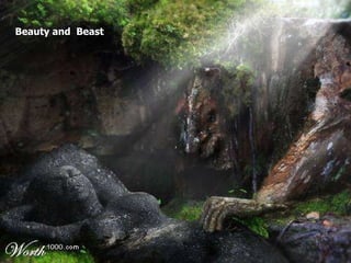 Beauty and  Beast 