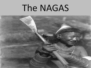 The NAGAS
 