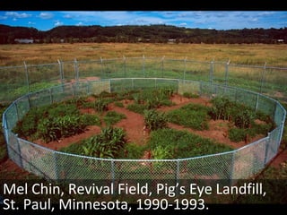 Mel Chin, Revival Field, Pig’s Eye Landfill, St. Paul, Minnesota, 1990-1993. 