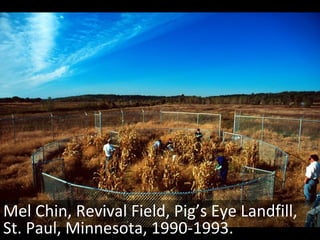 Mel Chin, Revival Field, Pig’s Eye Landfill, St. Paul, Minnesota, 1990-1993. 