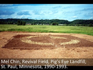 Mel Chin, Revival Field, Pig’s Eye Landfill, St. Paul, Minnesota, 1990-1993. 