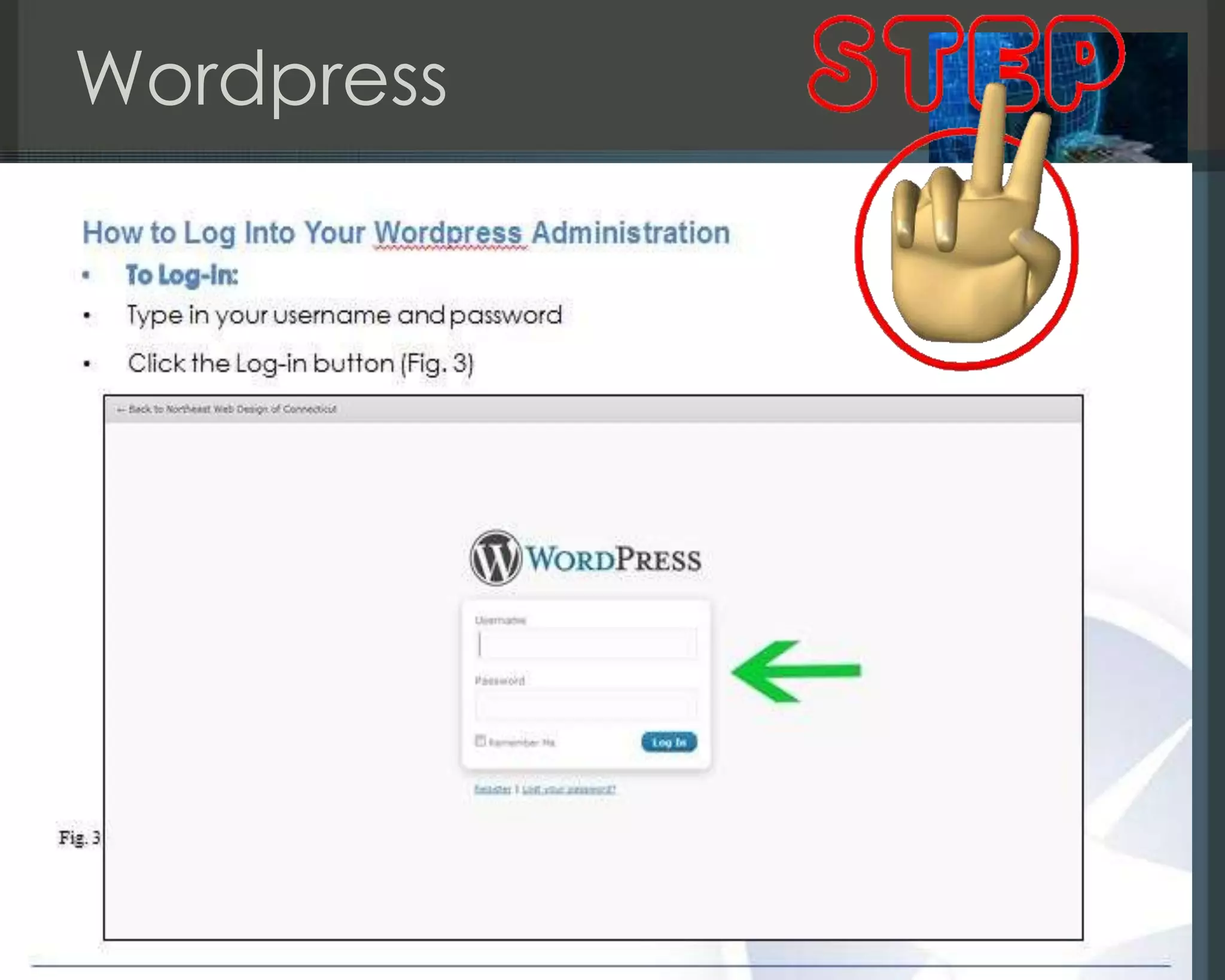 Wordpress
 