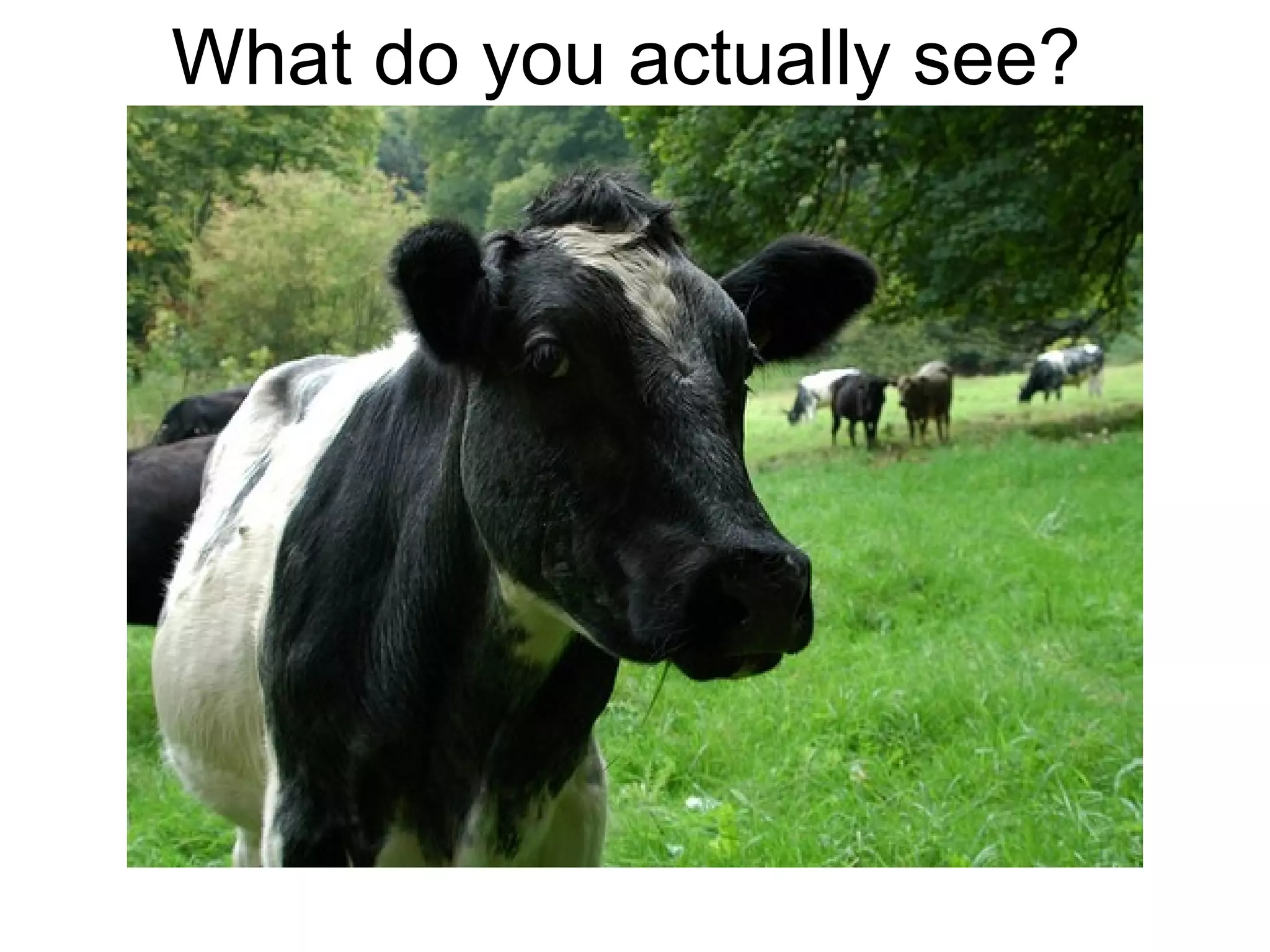 What do you actually see?
 