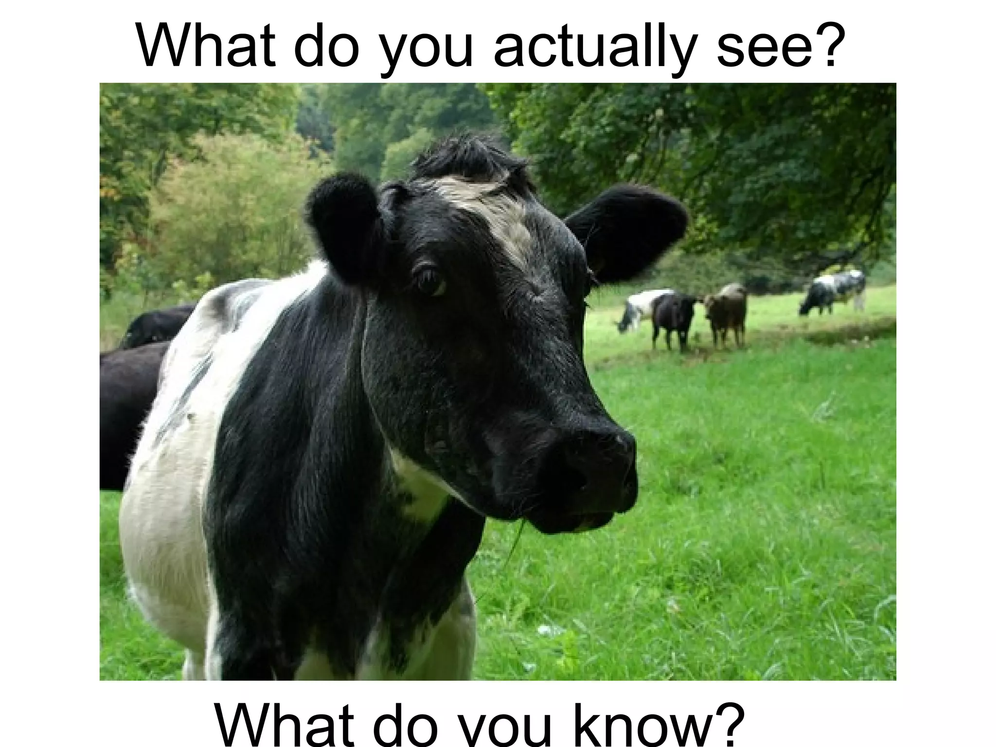 What do you actually see?
What do you know?
 