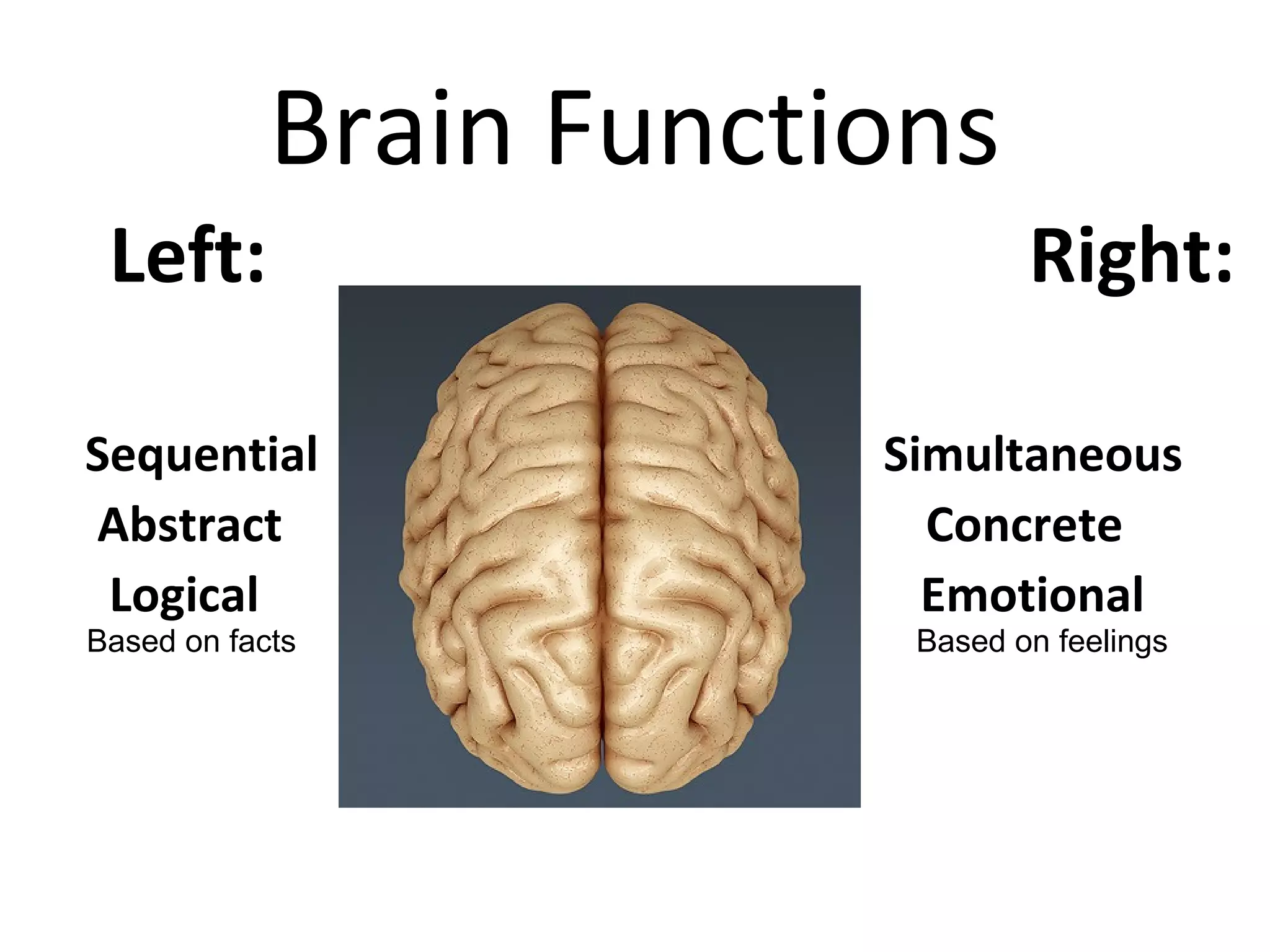 Left: Right:
Sequential Simultaneous
Abstract Concrete
Logical Emotional
Brain Functions
Based on facts Based on feelings
 
