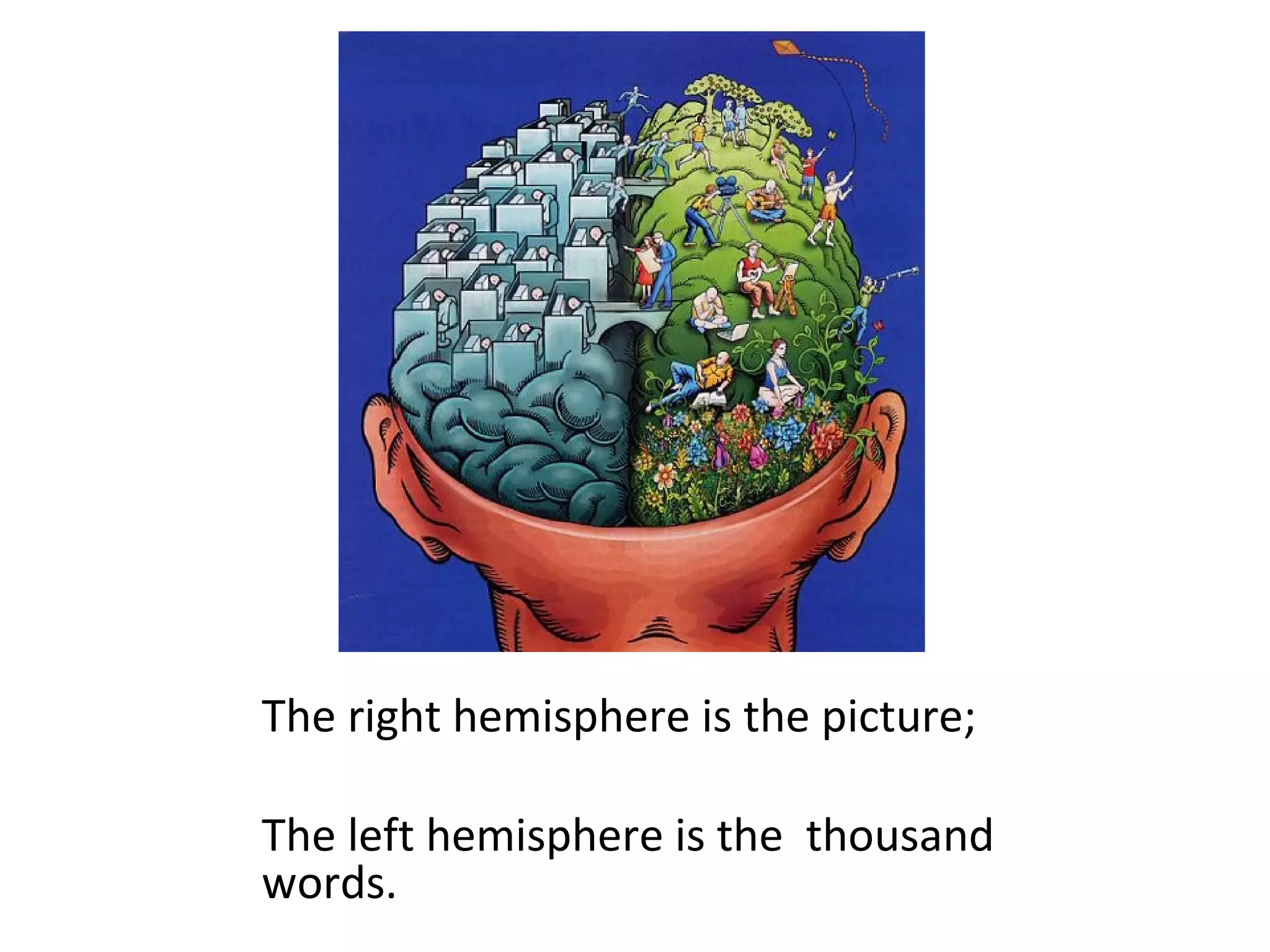 The right hemisphere is the picture;
The left hemisphere is the thousand
words.
 