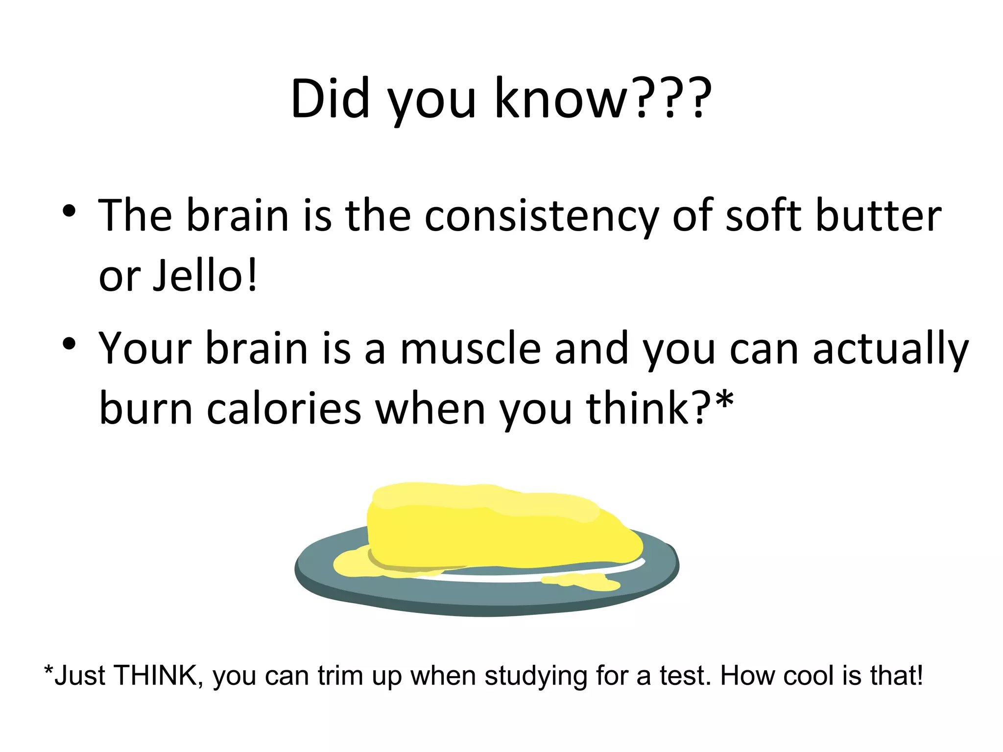 Did you know???
• The brain is the consistency of soft butter
or Jello!
• Your brain is a muscle and you can actually
burn calories when you think?*
*Just THINK, you can trim up when studying for a test. How cool is that!
 