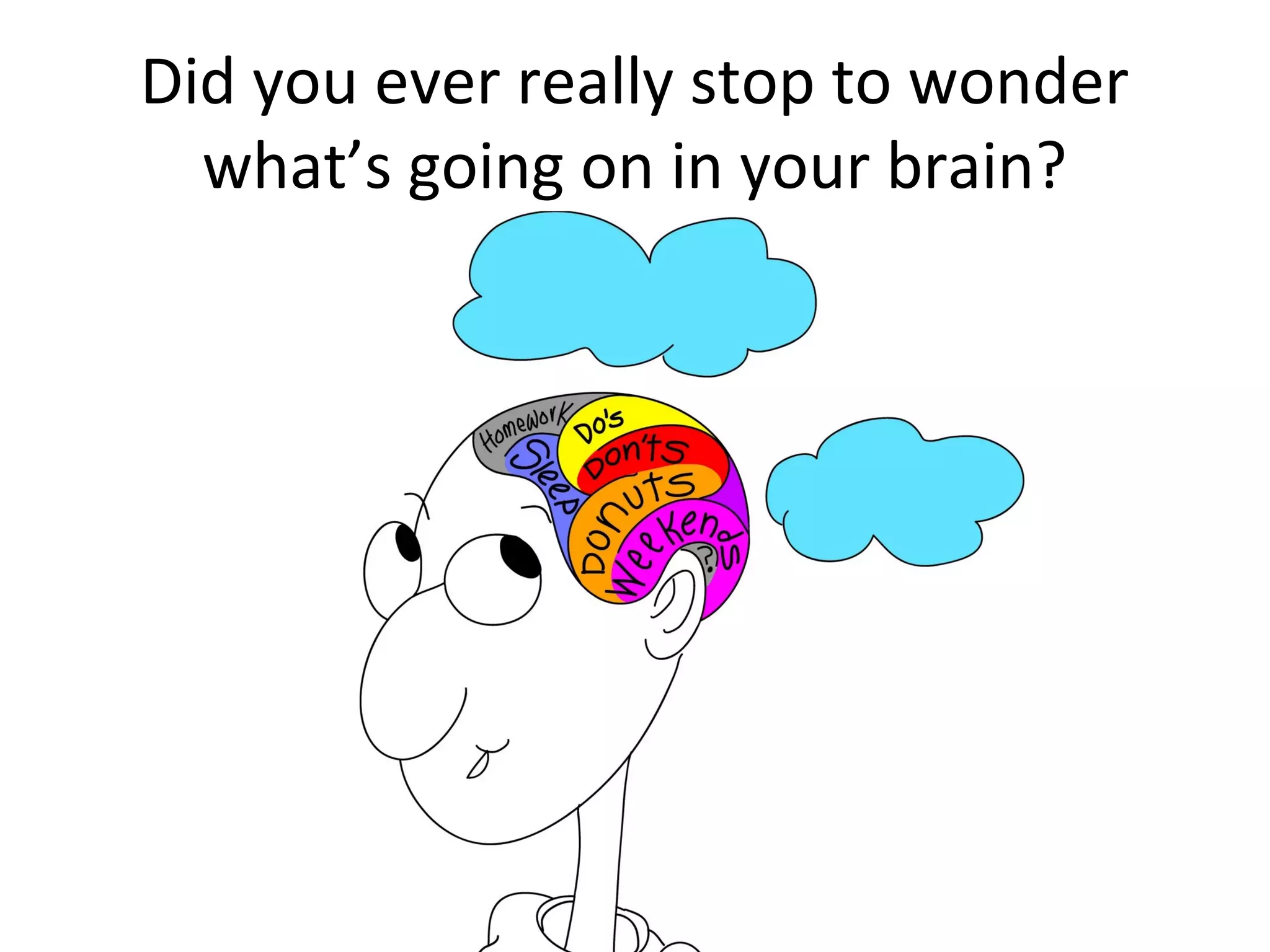Did you ever really stop to wonder
what’s going on in your brain?
 