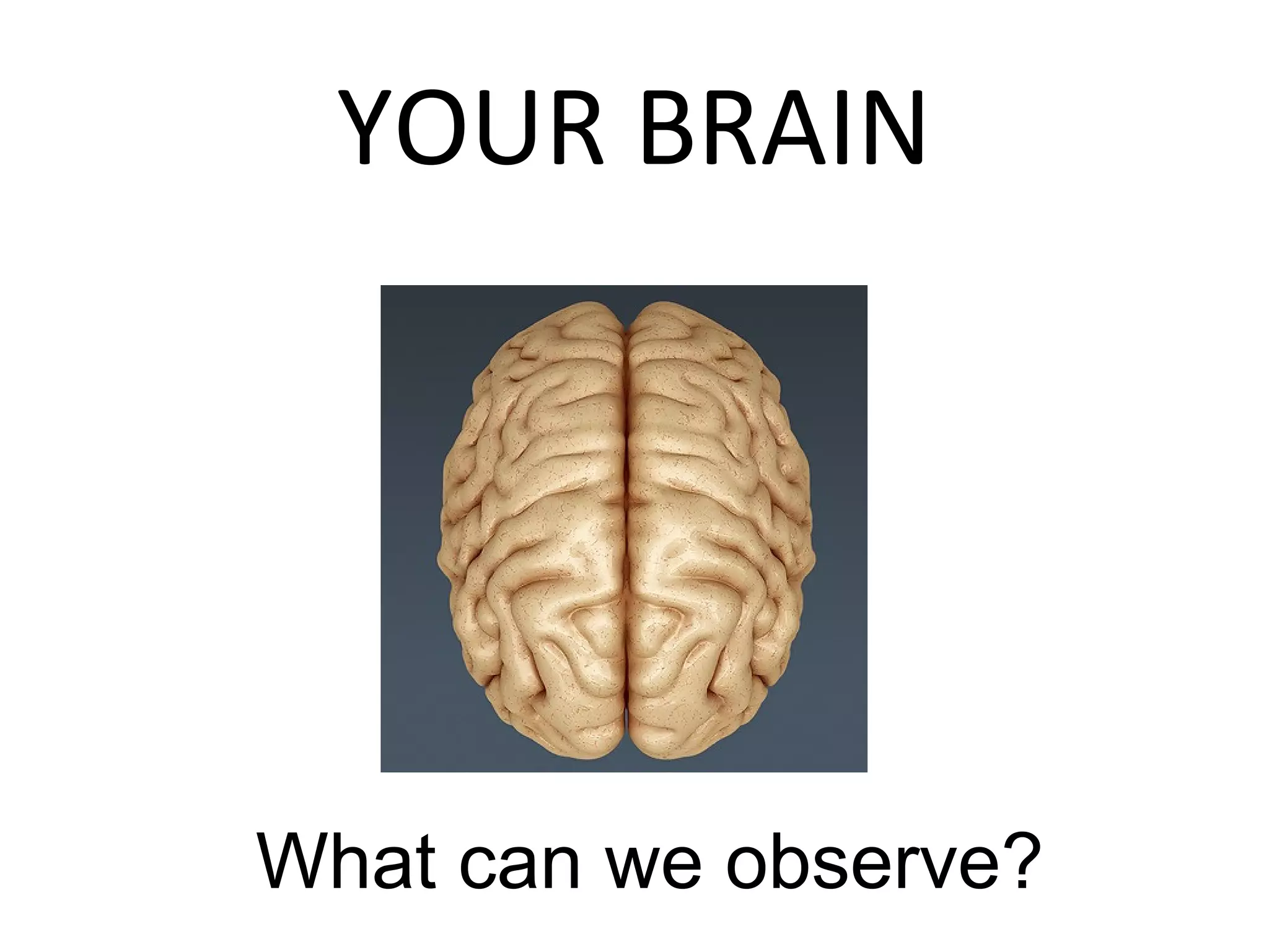 YOUR BRAIN
What can we observe?
 