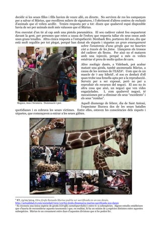 decidir si les seues filles i fills havien de veure allò, en directe. No serviren de res les campanyes
per a salvar el Màrius, que recolliren milers de signatures, i l‟oferiment d‟altres centres de reclusió
d‟animals que el volien acollir. Tenien resposta per a tot: diuen que qualsevol espai disponible
havia de ser per animals molt més valuosos que el Màrius.
Fou executat d‟un tir al cap amb una pistola pneumàtica. El seu cadàver calent fou esquarterat
davant la gent, per persones que reien a causa de l‟esforç que requeria tallar els seus ossos amb
unes grans tenalles. Altra cínica resposta a l‟estupefacció: Stenbaek Bro, portaveu del zoo, diu que
està molt orgullós per tot plegat, perquè han donat els xiquets i xiquetes un gran ensenyament
sobre l’anatomia d’una girafa que no haurien
vist a través de les fotos. Llançaren els trossos
del cadàver als lleons. Per això no el mataren
amb una injecció, perquè a més es volien
estalviar el preu de molts quilos de carn.
Altre zoològic danès, a Videbaek, pot acabar
matant una girafa, també anomenada Màrius, a
causa de les normes de l‟EAZA6. Com que és un
mascle de 7 any híbrid7, el zoo es desfarà d‟ell
quan trobe una femella apta per a la reproducció.
Serveix per a ser exposat, però no per a
reproduir els recursos del negoci. El zoo no és
altra cosa que això, un negoci que ven vides
engarjolades.
I, com qualsevol negoci, té
mecanismes per a eliminar els seus “excedents” i
els seus “residus”.
Aquell diumenge de febrer, dia de Sant Antoni,
l‟especisme lliurava dos de les seues batalles
quotidianes i es cobrava les seues víctimes. Entre elles, estaven les consciències dels xiquets i
xiquetes, que començaven a entrar a les seues gàbies.
Regnes, mos i bromera. Dominació i por.

RT, 13/02/2014, Otra jirafa llamada Marius podría ser sacrificada en un zoo danés,
http://actualidad.rt.com/sociedad/view/119762-jirafa-dinamarca-marius-sacrificada-zoo-danes
7 Es reconeix una única espècie de girafa (Giraffa camelopardalis) i entre 6 i 9 subespècies. Alguns estudis estableixen
que s‟hauria de reconsiderar aquesta taxonomia i que, en realitat, hi ha un mínim de 4 espècies distintes entre aquestes
subespècies. Màrius és un creuament entre dues d‟aquestes divisions que si ho poden fer.
6

 