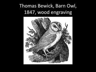 Thomas Bewick, Barn Owl, 1847, wood engraving 