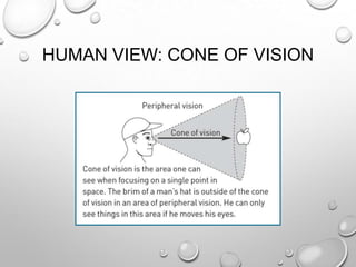 HUMAN VIEW: CONE OF VISION

 