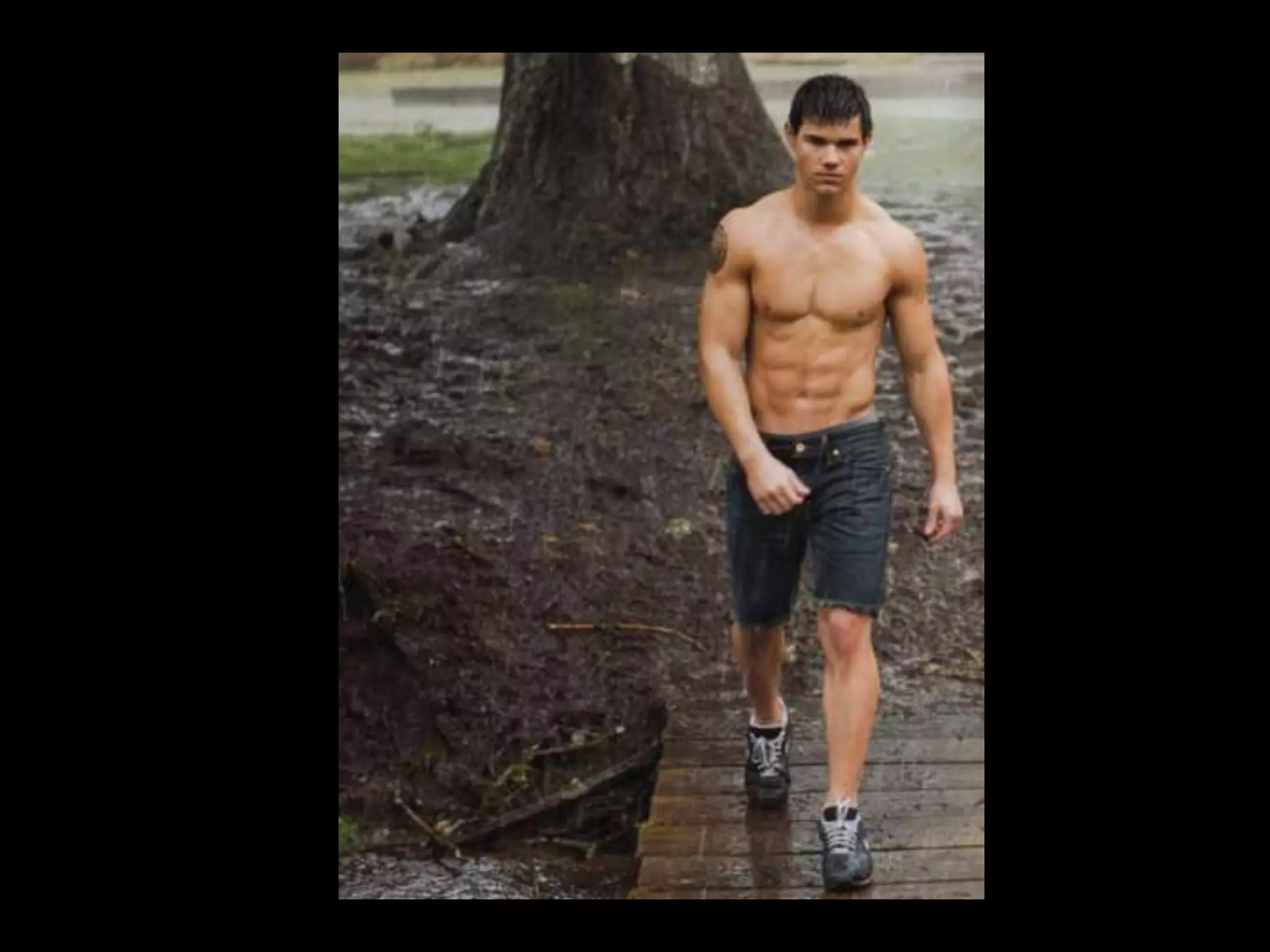 Art Appreciation Introduction