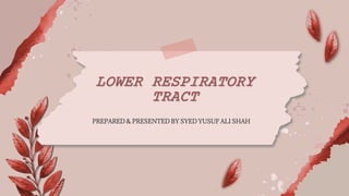 PREPARED & PRESENTED BY SYED YUSUF ALI SHAH
LOWER RESPIRATORY
TRACT
 