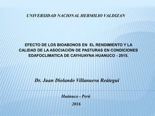 UNIVERSIDAD NACIONAL HERMILIO VALDIZAN
1
Dr. Juan Diolando Villanueva Reátegui
Huánuco - Perú
2016
EFECTO DE LOS BIOABONOS EN EL RENDIMIENTO Y LA
CALIDAD DE LA ASOCIACIÓN DE PASTURAS EN CONDICIONES
EDAFOCLIMATICA DE CAYHUAYNA HUANUCO - 2015.
 
