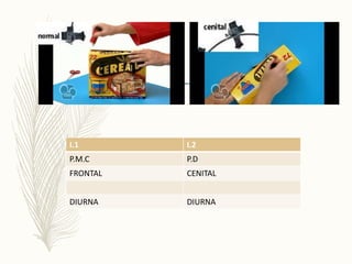 I.1 I.2
P.M.C P.D
FRONTAL CENITAL
DIURNA DIURNA
 