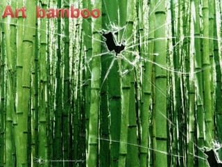 Art  bamboo 