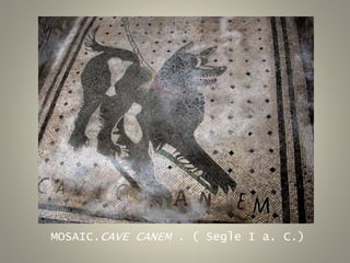 MOSAIC.CAVE CANEM . ( Segle I a. C.)
 
