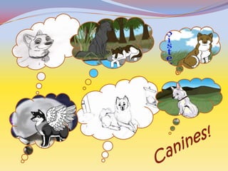Canines!