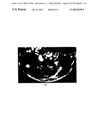 Case 1:14-cv-00217-UNA Document 1-1 Filed 02/20/14 Page 11 of 22 PageID #: 23

 