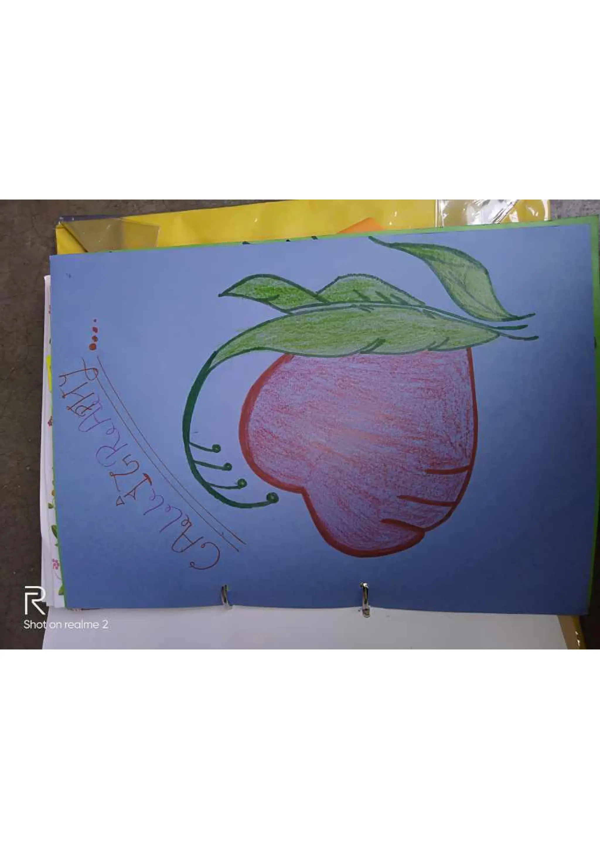 Art & Craft File, B.Ed Assignment 1st Year