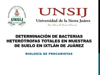 DETERMINACIÓN DE BACTERIAS
HETERÓTROFAS TOTALES EN MUESTRAS
DE SUELO EN IXTLÁN DE JUÁREZ
BIOLOGÍA DE PROCARIOTAS

 