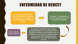ENFERMEDAD DE BEHCET
Solo Farzaneh et al. 2022 (39)
exploró los efectos y la seguridad
de la curcumina y el extracto de
curcuma longa en el tratamiento
de BD
Incluyeron 17 pacientes en el
grupo de nanocurcumina y 15
en el grupo de placebo.
Descubrieron que BDCAF, disminuyó en
pacientes tratados con curcumina (P<0.05) .
También encontraron que las células Treg, los
niveles de IL-10 y TGF-ben el grupo de nano-
curcumina aumentó significativamente,
mientras que IL-17 e IL-23 disminuyeron
(P<0.05)
No se evidencio
efectos adversos
 