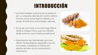 INTRODUCCIÓN
• Las enfermedades autoinmunes se producen
por u a respuesta alterada de nuestro sistema
inmune contra autoantígenos debido a un
estado de tolerancia inmunológica alterada.
• El uso de curcumina y cúrcuma longa data la
desde la antigua China, pues era utilizado
desde entonces como medicina tradicional
• Experimentos han demostrado que tiene
efectos farmacológicos regulando la acción
inmunitaria, inhibiendo la inflamación,
además de tener acción antioxidante y
antitumoral
 