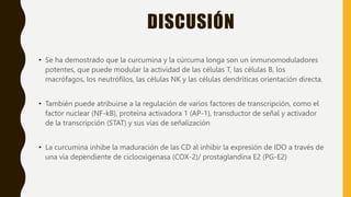 DISCUSIÓN
• Se ha demostrado que la curcumina y la cúrcuma longa son un inmunomoduladores
potentes, que puede modular la actividad de las células T, las células B, los
macrófagos, los neutrófilos, las células NK y las células dendríticas orientación directa.
• También puede atribuirse a la regulación de varios factores de transcripción, como el
factor nuclear (NF-kB), proteína activadora 1 (AP-1), transductor de señal y activador
de la transcripción (STAT) y sus vías de señalización
• La curcumina inhibe la maduración de las CD al inhibir la expresión de IDO a través de
una vía dependiente de ciclooxigenasa (COX-2)/ prostaglandina E2 (PG-E2)
 