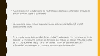 • Pueden reducir el reclutamiento de neutrófilos en los tejidos inflamados a través de
efectos directos sobre la quimiotaxis
• La curcumina puede reducir la producción de anticuerpos (IgG2a, IgE e IgG1,
especialmente IgG1)
• En la regulación de la inmunidad de las células T: tratamiento con curcumina en dosis
bajas (0,1 y 1metrog/ml) también se demostró que reduce las células Th17, los niveles
de IL-17A y aumenta Treg y TGF-b1 en células T CD4+ en pacientes con una
enfermedad inmunológica en comparación con controles normales
 