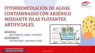 FITORREMEDIACIÓN DE AGUAS
CONTAMINADAS CON ARSÉNICO
MEDIANTE ISLAS FLOTANTES
ARTIFICIALES.
 