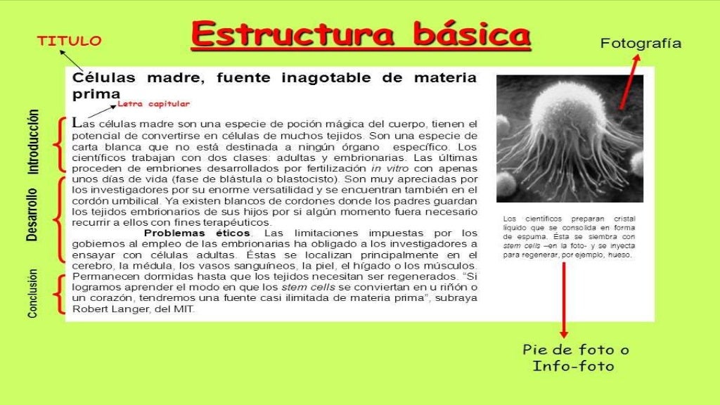 Ejemplos De Articulos De Divulgacion Cientifica Con S - vrogue.co